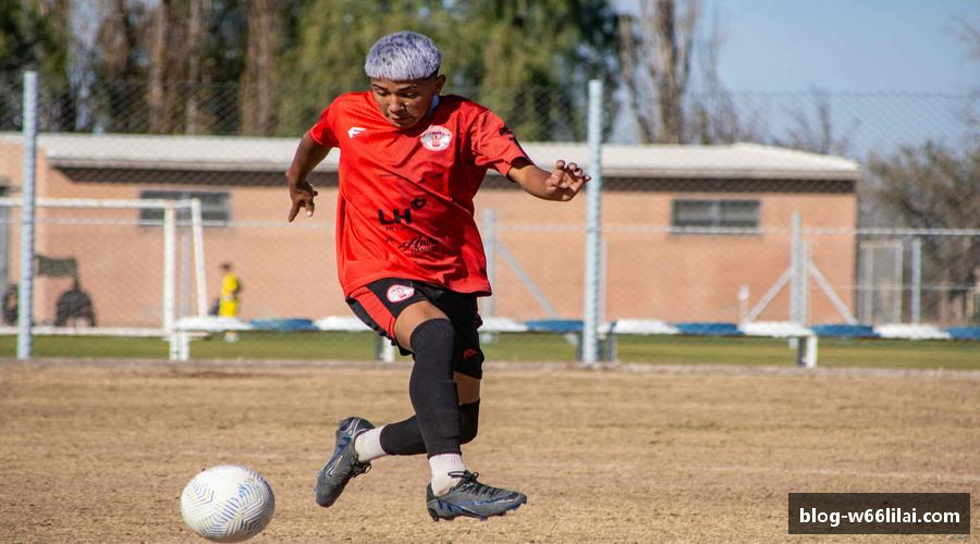 关于利来66国际